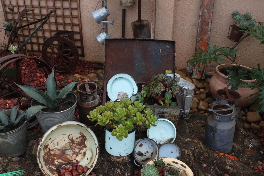 Aber Jetz Guesthouse Pongola Extérieur photo