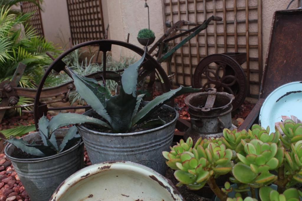 Aber Jetz Guesthouse Pongola Extérieur photo